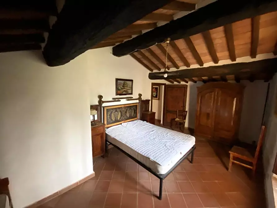 Immagine 17 di Casa colonica in vendita  a Suvereto