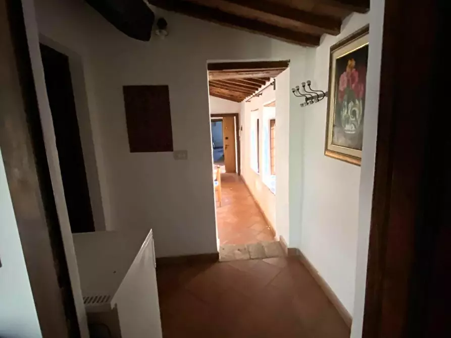 Immagine 15 di Casa colonica in vendita  a Suvereto