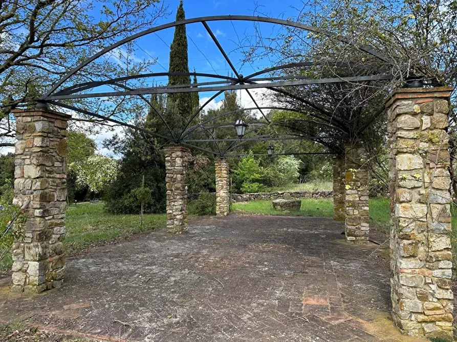 Immagine 33 di Casa colonica in vendita  a Suvereto