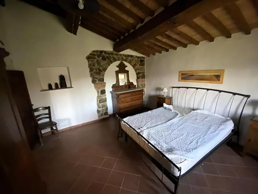 Immagine 13 di Casa colonica in vendita  a Suvereto