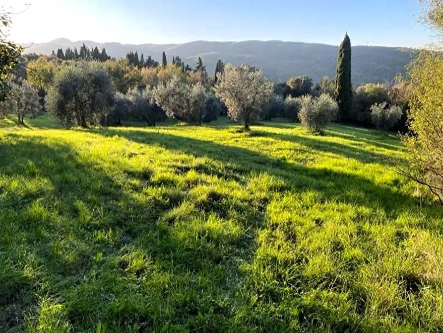 Immagine 28 di Casa colonica in vendita  a Suvereto