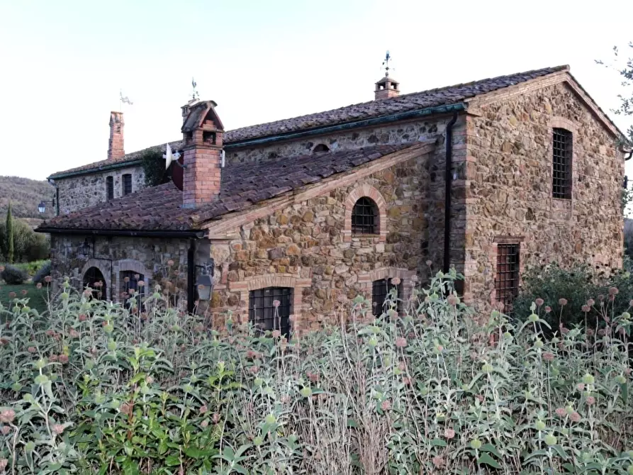 Immagine 12 di Casa colonica in vendita  a Suvereto