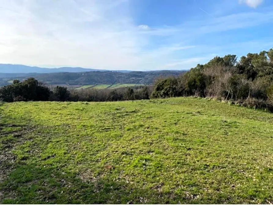 Immagine 29 di Casa colonica in vendita  a Suvereto
