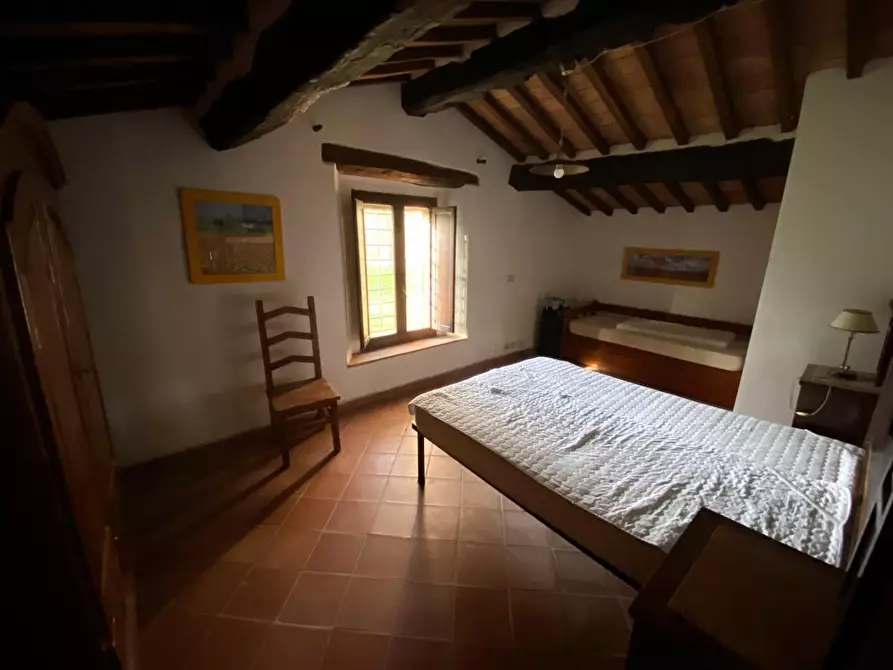 Immagine 18 di Casa colonica in vendita  a Suvereto