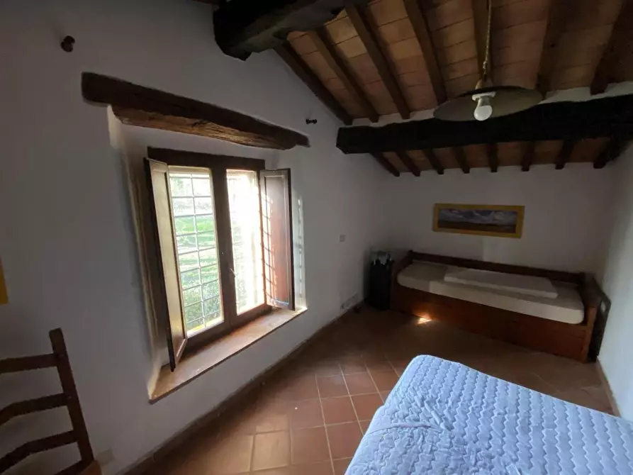 Immagine 27 di Casa colonica in vendita  a Suvereto