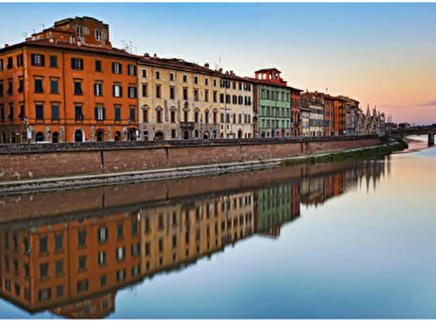 Immagine 3 di Attività commerciale in vendita  a Pisa