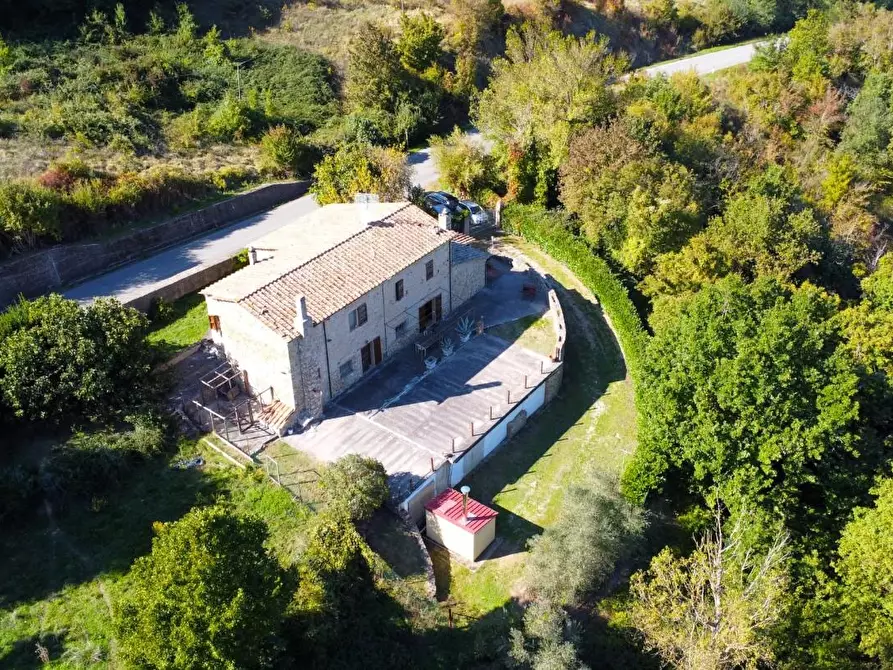 Immagine 6 di Rustico / casale in vendita  a Castelnuovo Val Di Cecina