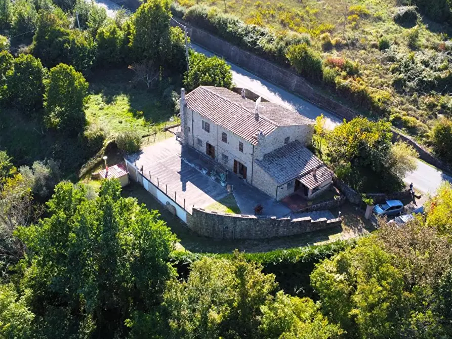 Immagine 5 di Rustico / casale in vendita  a Castelnuovo Val Di Cecina