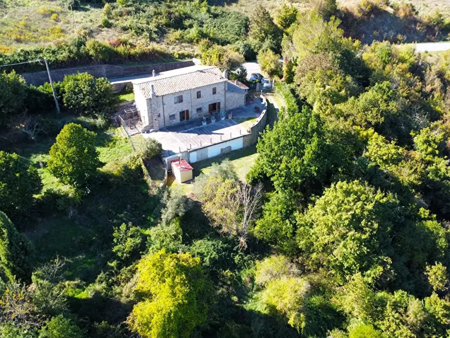 Immagine 7 di Rustico / casale in vendita  a Castelnuovo Val Di Cecina