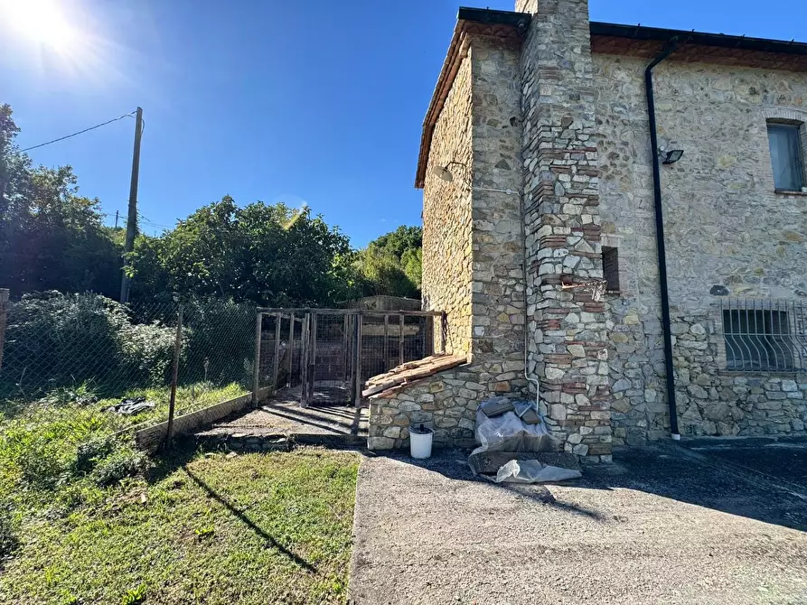 Immagine 37 di Rustico / casale in vendita  a Castelnuovo Val Di Cecina