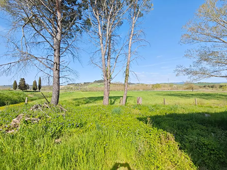 Immagine 5 di Casa indipendente in vendita  a Lajatico