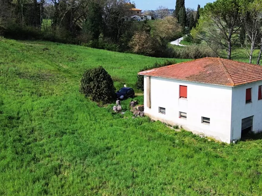 Immagine 2 di Casa indipendente in vendita  a Lajatico