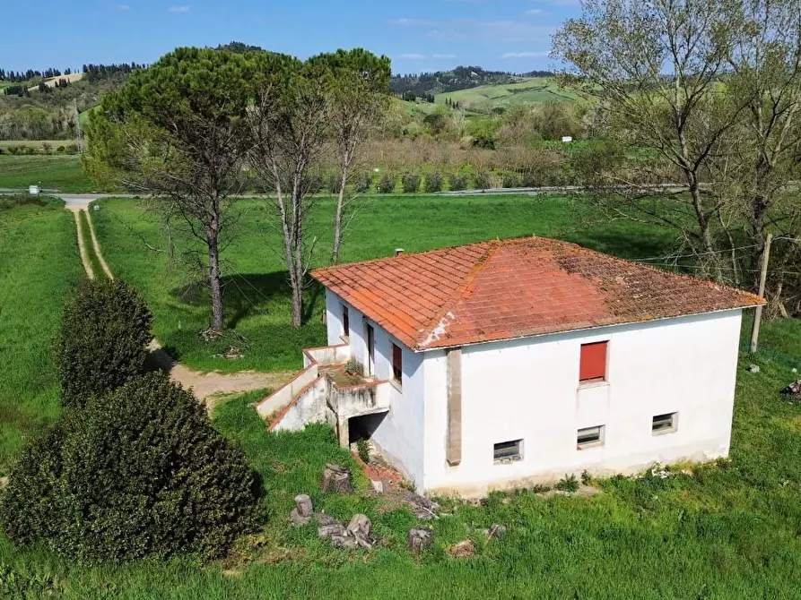 Immagine 10 di Casa indipendente in vendita  a Lajatico