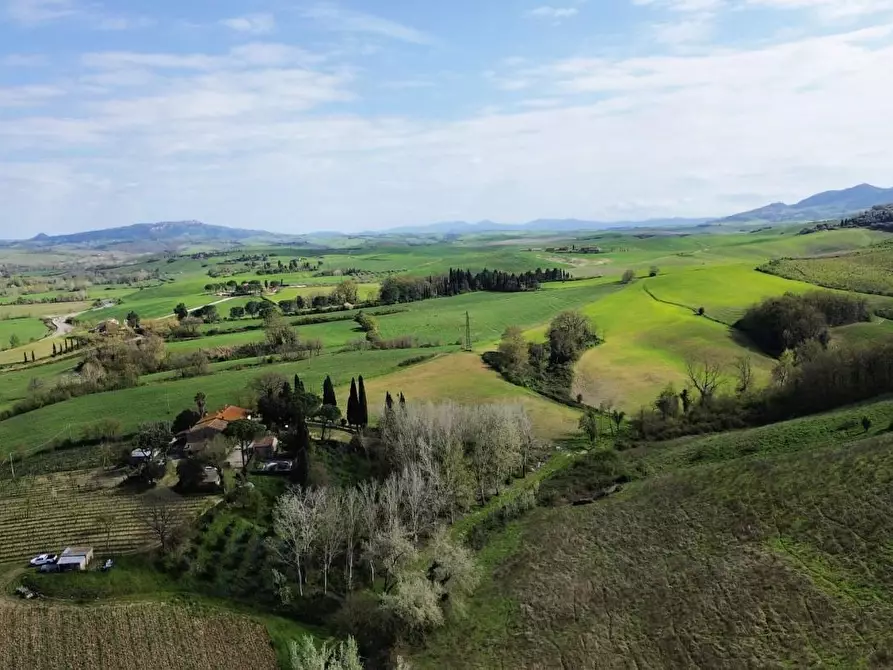 Immagine 4 di Casa indipendente in vendita  a Lajatico