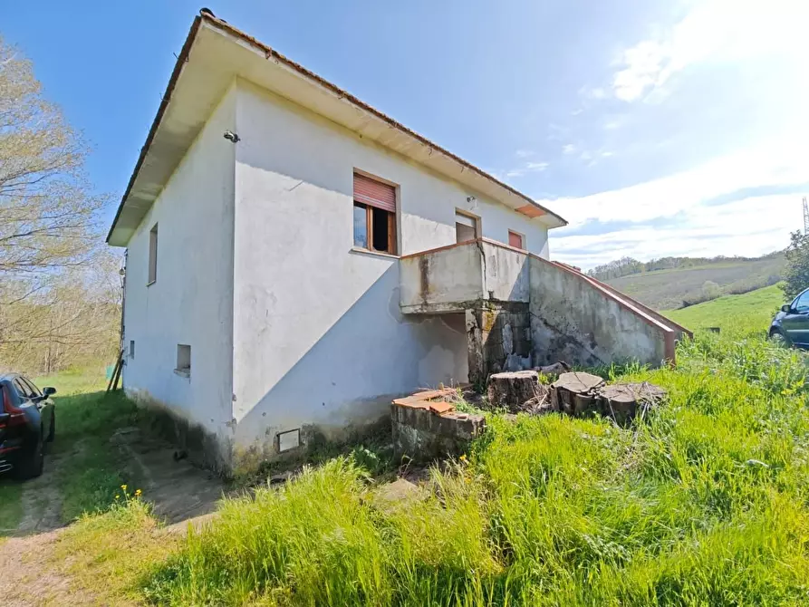 Immagine 11 di Casa indipendente in vendita  a Lajatico