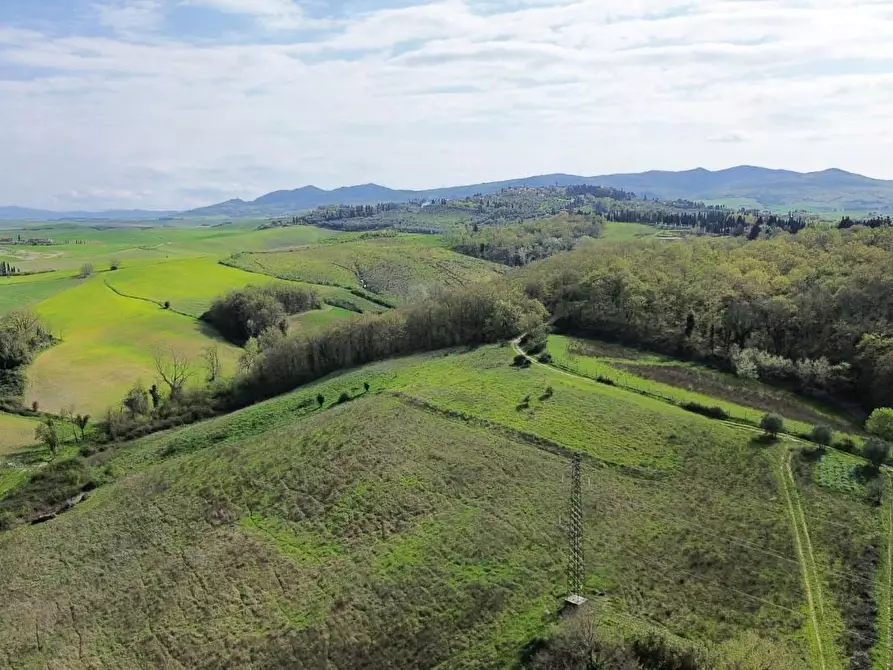 Immagine 8 di Casa indipendente in vendita  a Lajatico