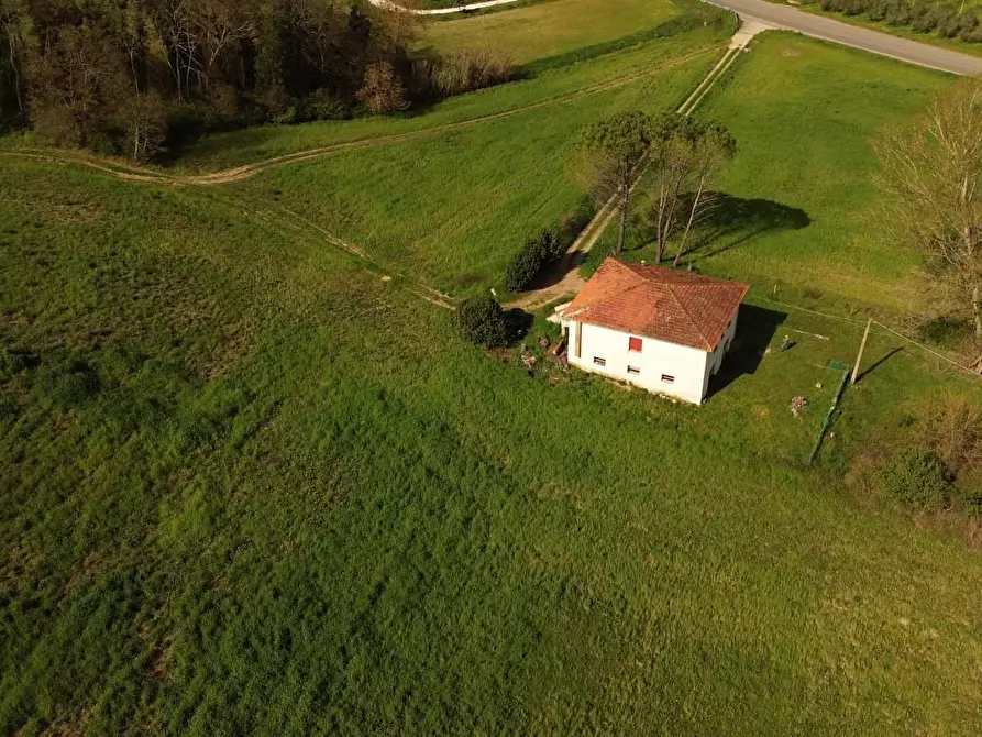 Immagine 20 di Casa indipendente in vendita  a Lajatico