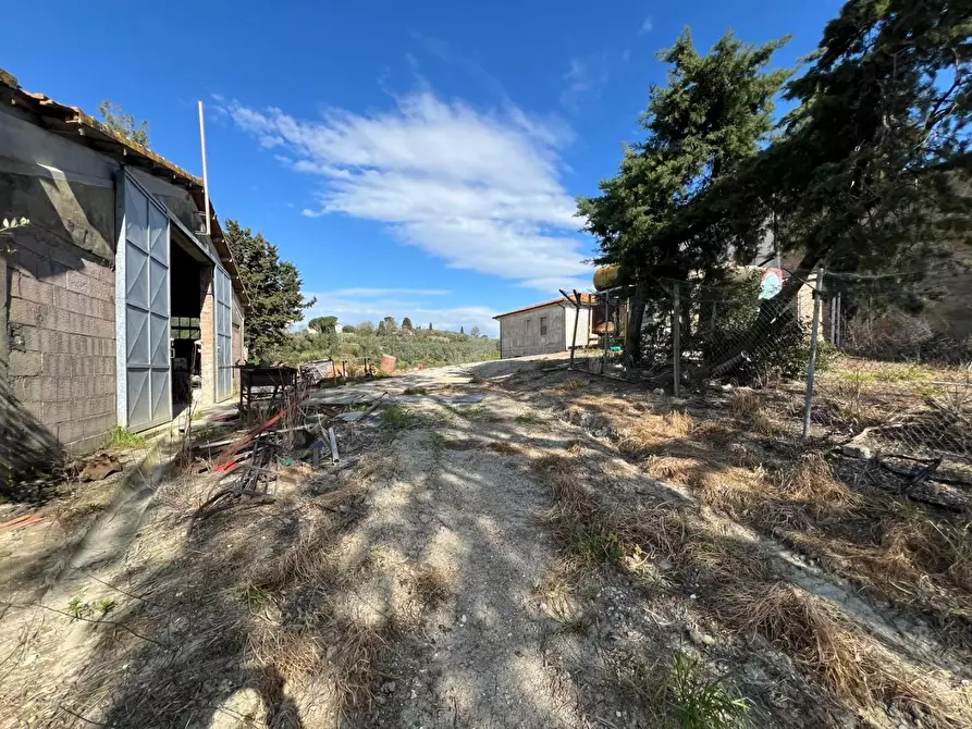 Immagine 10 di Casa colonica in vendita  a Crespina Lorenzana