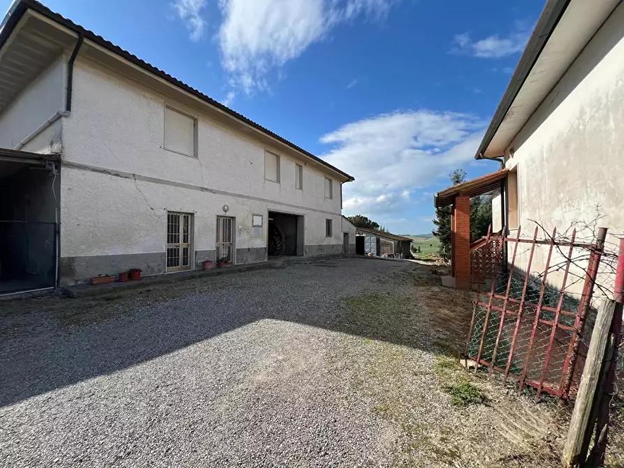 Immagine 13 di Casa colonica in vendita  a Crespina Lorenzana