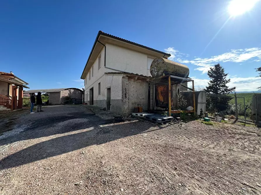 Immagine 6 di Casa colonica in vendita  a Crespina Lorenzana