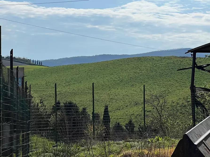 Immagine 14 di Casa colonica in vendita  a Crespina Lorenzana