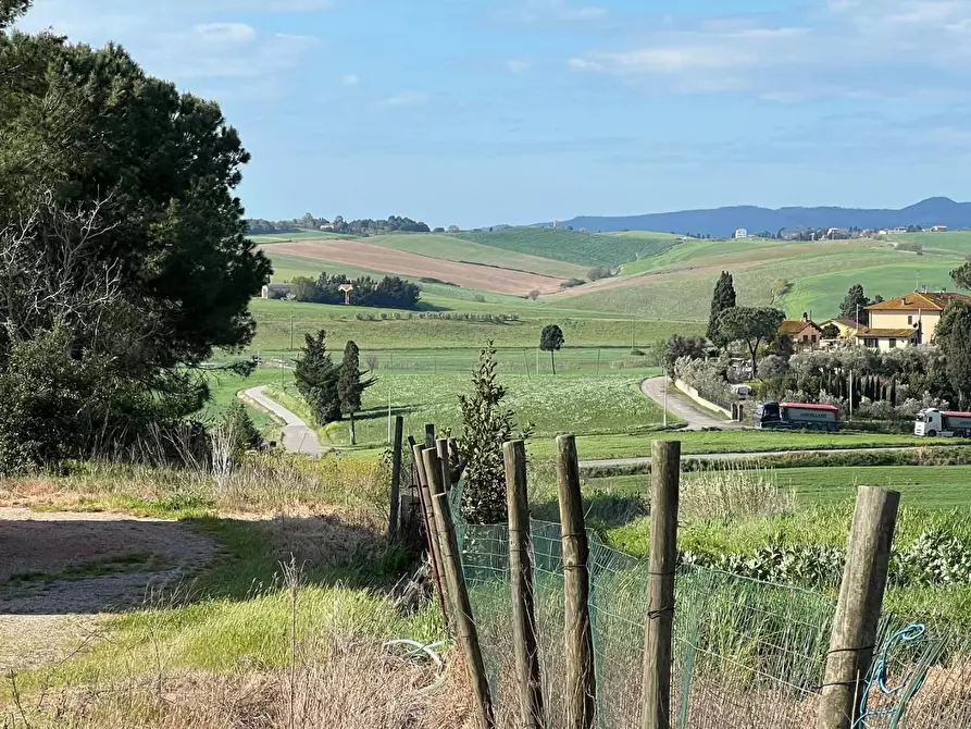 Immagine 9 di Casa colonica in vendita  a Crespina Lorenzana