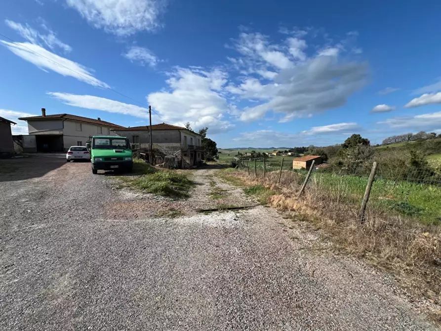 Immagine 5 di Casa colonica in vendita  a Crespina Lorenzana