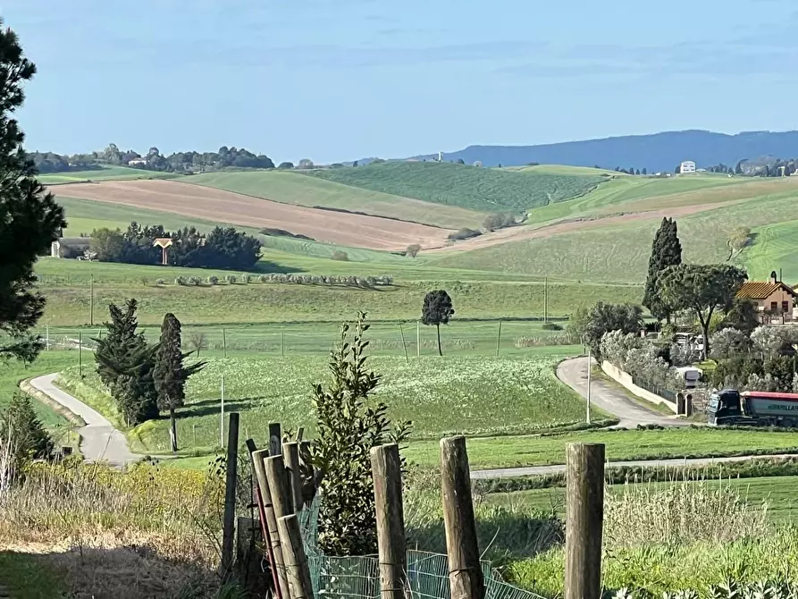 Immagine 2 di Casa colonica in vendita  a Crespina Lorenzana