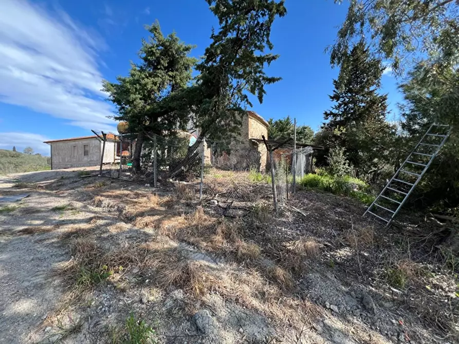 Immagine 7 di Casa colonica in vendita  a Crespina Lorenzana