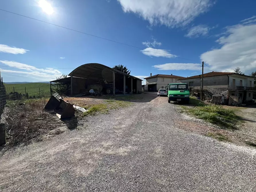 Immagine 4 di Casa colonica in vendita  a Crespina Lorenzana