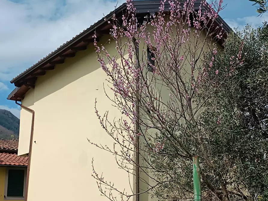 Immagine 4 di Casa indipendente in vendita  a Gallicano