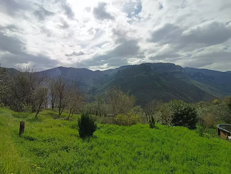 Immagine 6 di Casa indipendente in vendita  a Gallicano