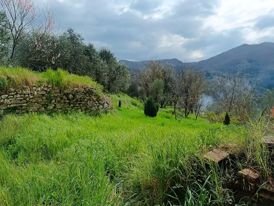 Immagine 5 di Casa indipendente in vendita  a Gallicano