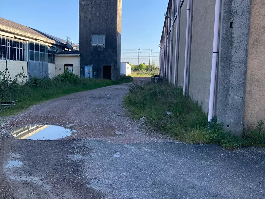 Immagine 4 di Capannone industriale in vendita  a Calcinaia