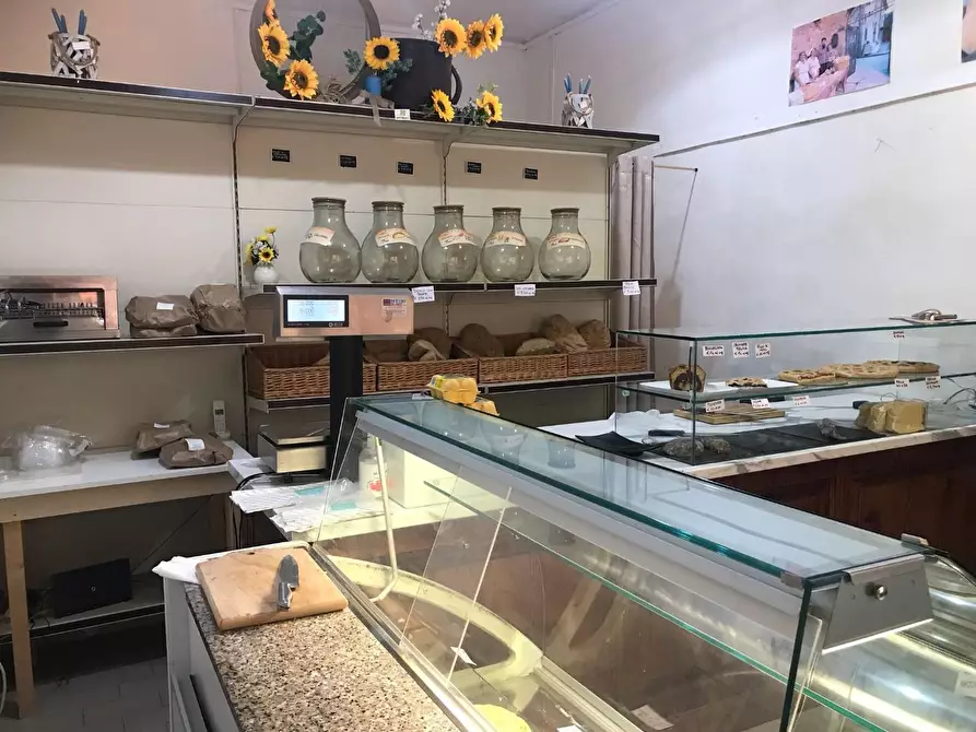 Immagine 2 di Locale commerciale in affitto  a Pisa