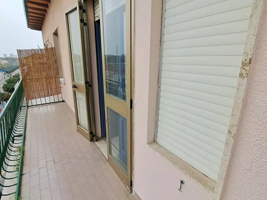 Immagine 14 di Appartamento in vendita  a Rosignano Marittimo