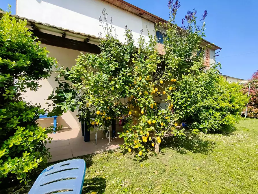 Immagine 35 di Villa in vendita  a Capannori