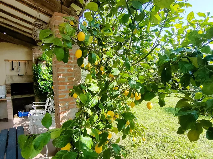 Immagine 32 di Villa in vendita  a Capannori