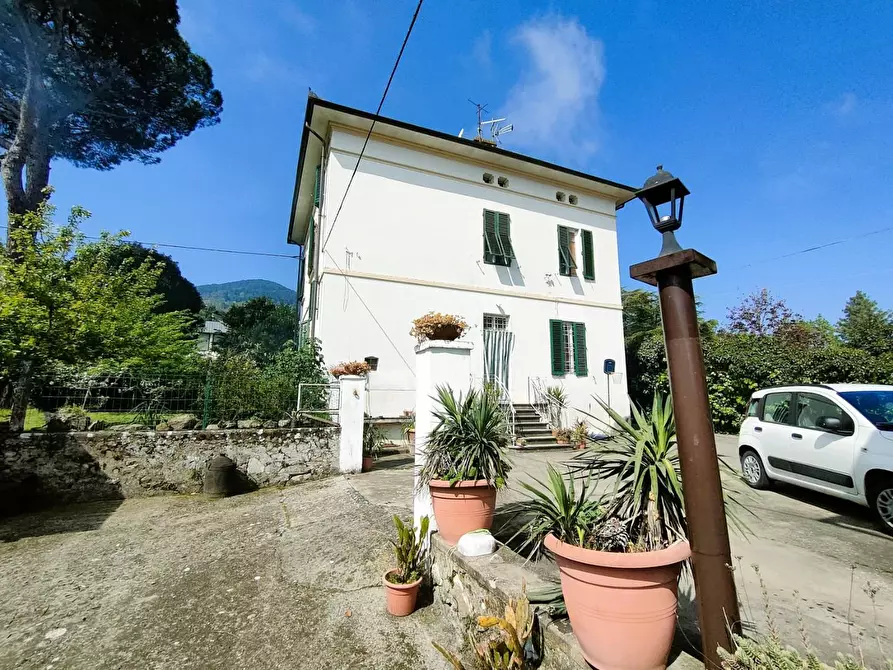 Immagine 21 di Villa in vendita  a Capannori