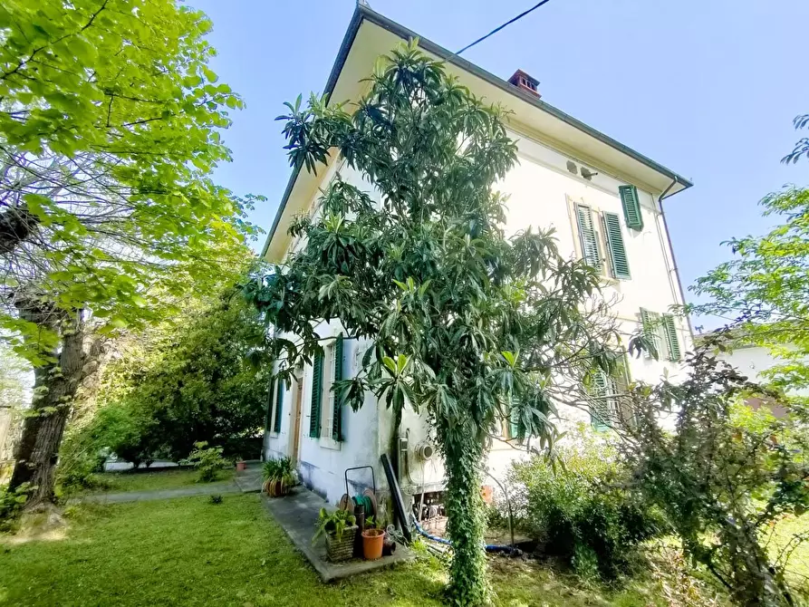 Immagine 19 di Villa in vendita  a Capannori