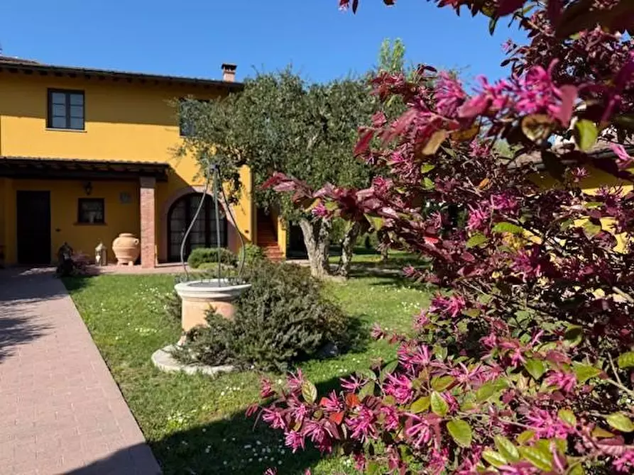 Immagine 3 di Casa colonica in vendita  a Fucecchio