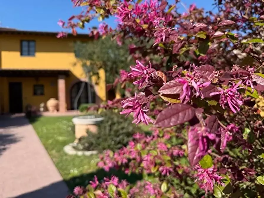 Immagine 13 di Casa colonica in vendita  a Fucecchio