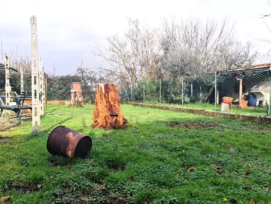 Immagine 6 di Appartamento in vendita  a San Miniato