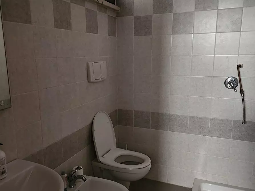 Immagine 6 di Laboratorio in affitto  a Castelfranco Di Sotto