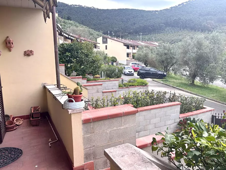 Immagine 8 di Villetta a schiera in vendita  a Calci