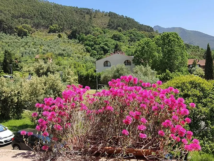 Immagine 3 di Villetta a schiera in vendita  a Calci