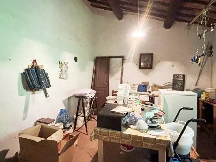 Immagine 14 di Casa colonica in vendita  a Vicopisano