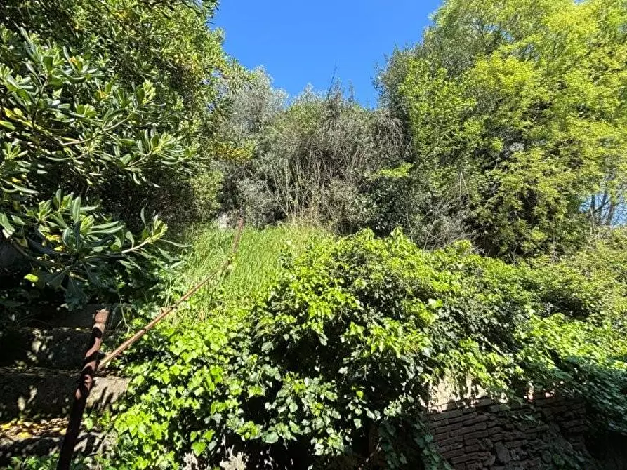 Immagine 38 di Casa colonica in vendita  a Vicopisano