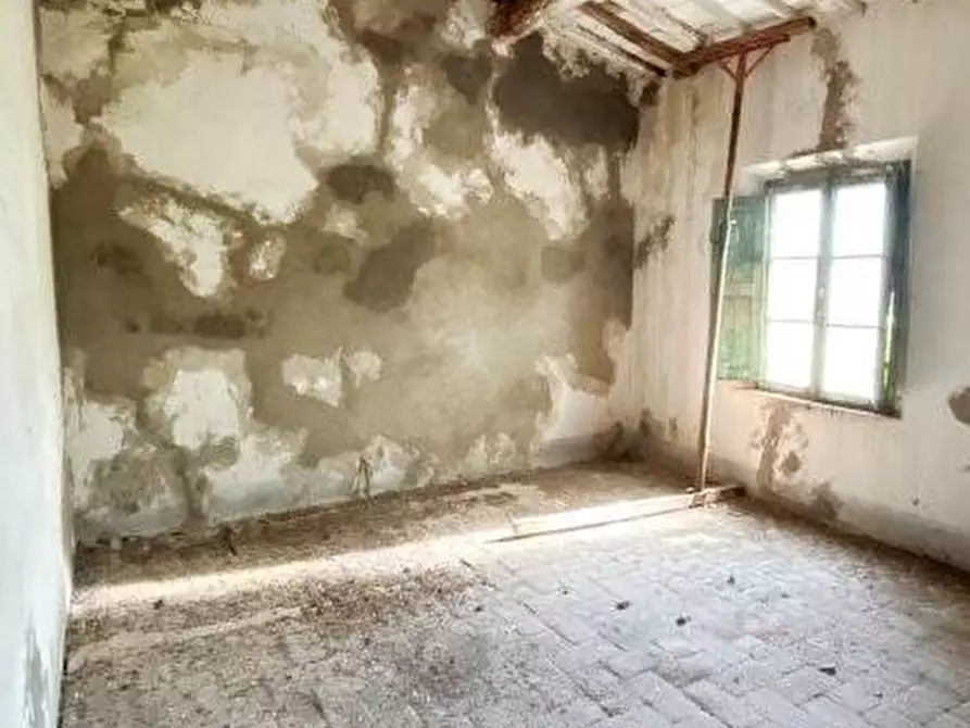 Immagine 31 di Casa colonica in vendita  a Vicopisano