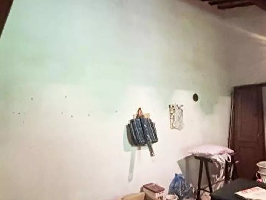Immagine 19 di Casa colonica in vendita  a Vicopisano